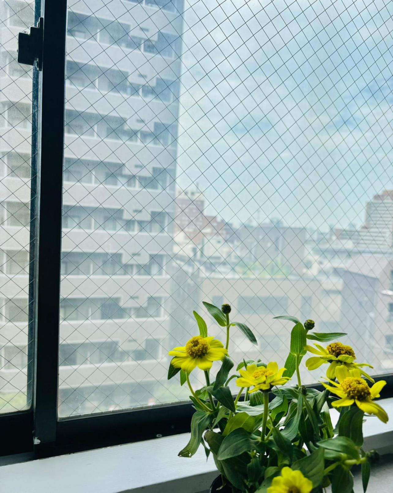 Glou Shinjuku Family Apartment Tokyo Luaran gambar